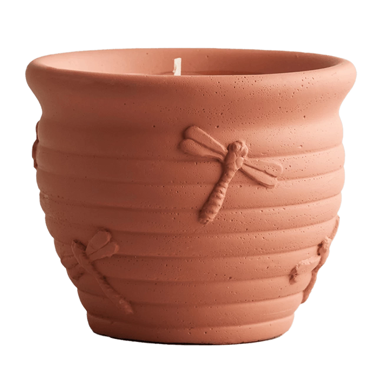 St Eval Nature's Garden Greens Large Dragonfly Pot